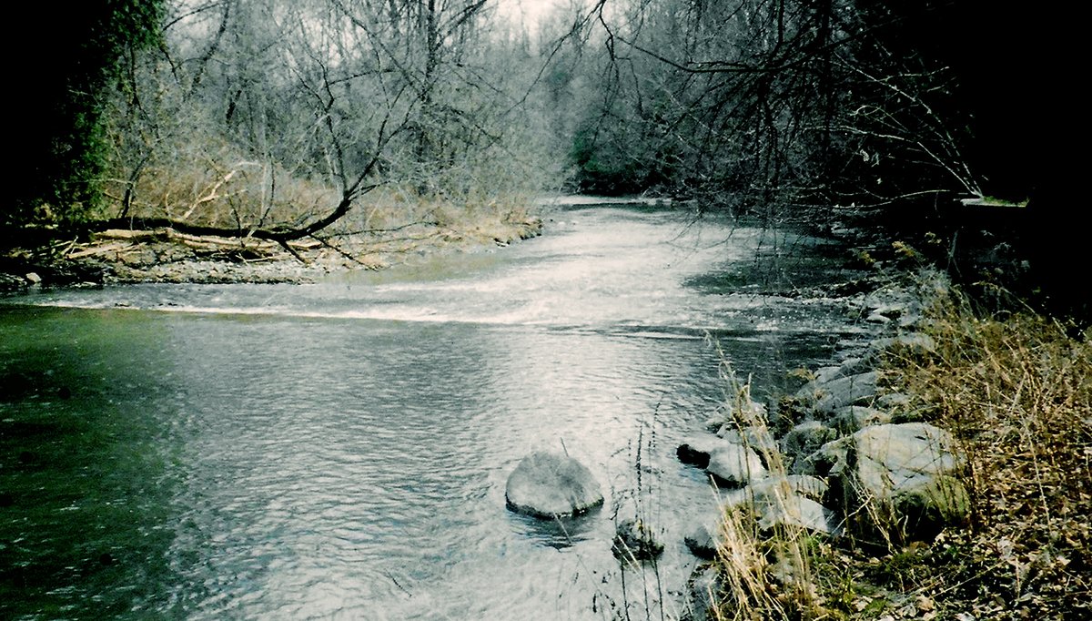 Kevin 🇨🇦📸 tweet media