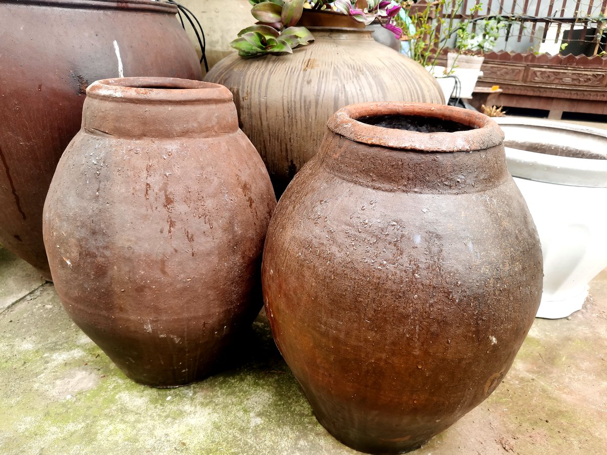 Muhamma87129032's tweet image. "DIY Mini Succulent Terrarium  Grab a jar, pebbles, soil u0026 tiny succulents—layer, plant, seal! Perfect desk decor. Tag your creation! #DIY #SucculentLove #CraftJoy"