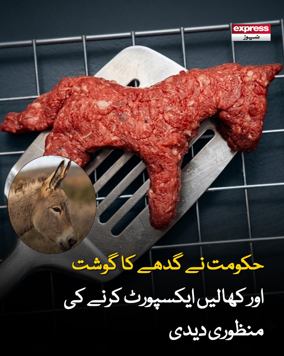 ExpressNewsPK's tweet image. اجلاس میں گوادر سے گدھے کے گوشت اور کھالوں کی برآمد سے متعلق موجودہ ذخیرے کو قواعد کے مطابق فروخت کرنے کی منظوری دی گئی

مزید پڑھیے: express.pk/story/2810388/…

#Donkey #Meat #Export #ExpressNews