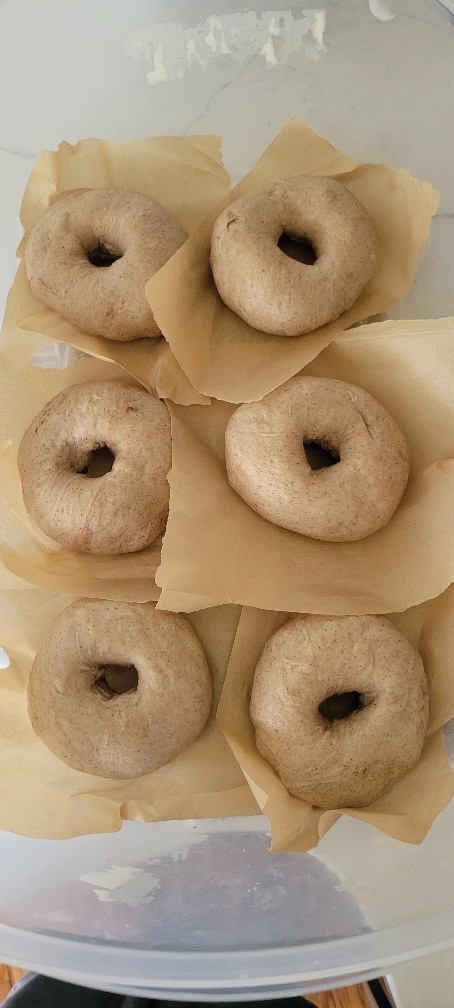 BlueBloodBullz's tweet image. Do you know what sucks about these sourdough bagels...waiting for them to cool so I can eat one!! Hands down best recipe I've ever found for anything #sourdough; these are Ceylon cinnamon, the blueberry are also amazing. Look at that rise, I had to lol 😋