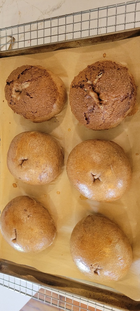 BlueBloodBullz's tweet image. Do you know what sucks about these sourdough bagels...waiting for them to cool so I can eat one!! Hands down best recipe I've ever found for anything #sourdough; these are Ceylon cinnamon, the blueberry are also amazing. Look at that rise, I had to lol 😋