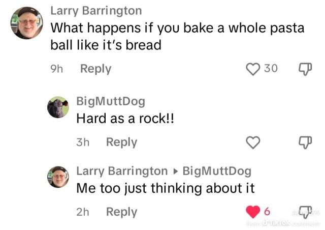 horse dentist tweet media