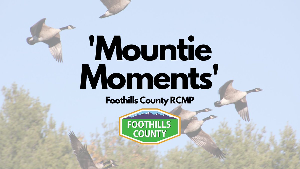 See the RCMP's recap of activities in the "Mountie Moments" newsletter. Mountie Moments provides updates and insights on happenings throughout the Foothills region.
See the link for the latest: foothillscountyab.ca/emergency-serv…