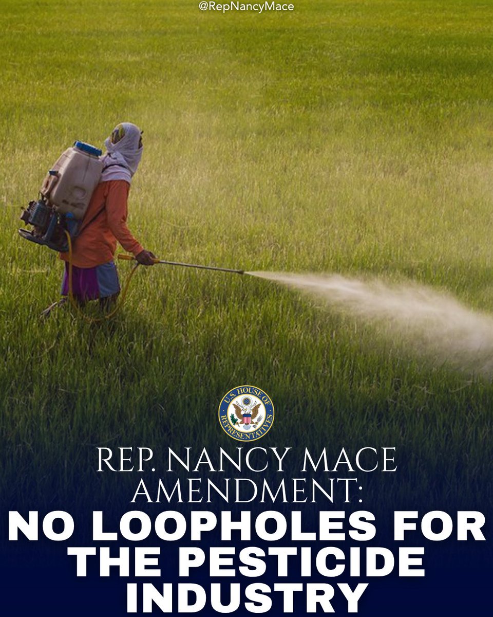 Rep. Nancy Mace tweet media