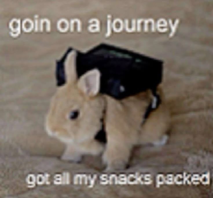 moon lover` tweet media