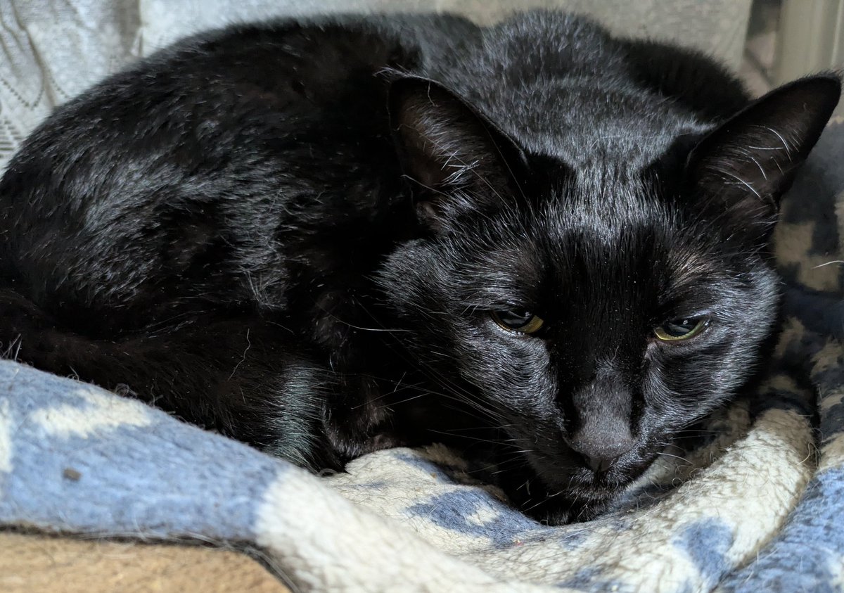 川久保秀一 tweet media