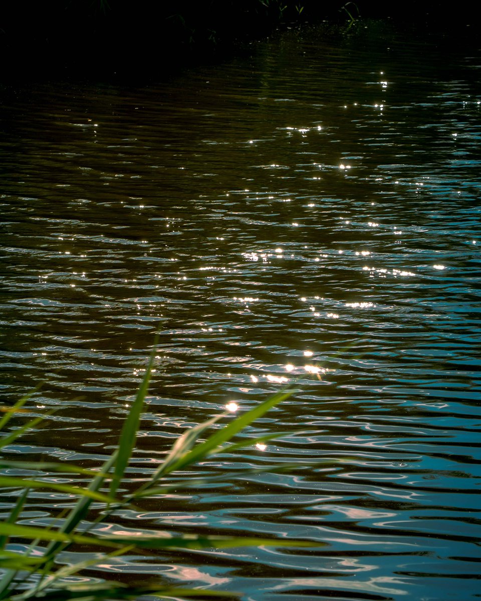 samanthacavet's tweet photo. Water and light in my photography https://t.co/AHnKSgZnFS