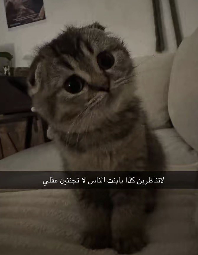 فوفاا tweet media