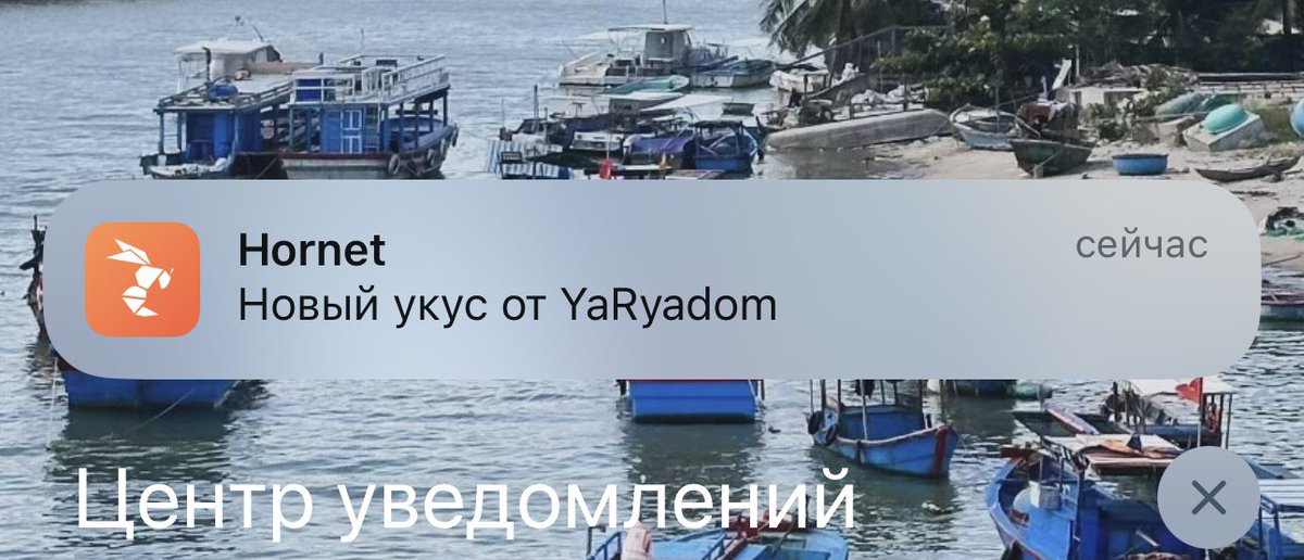 pizdec tweet media