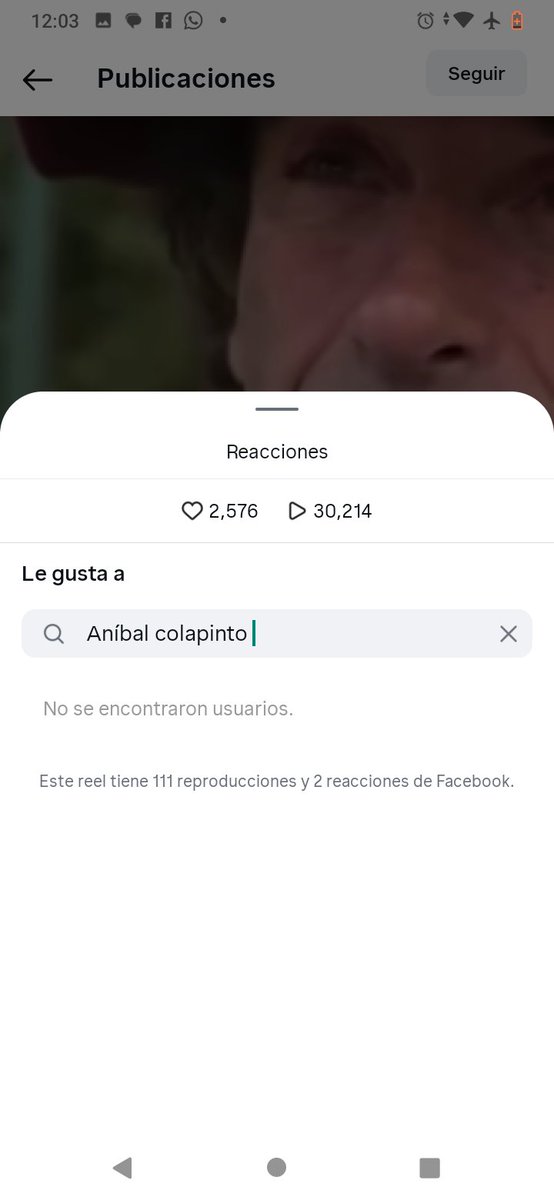 patricia pinto 🌟💙cuenta de seguidor tweet media