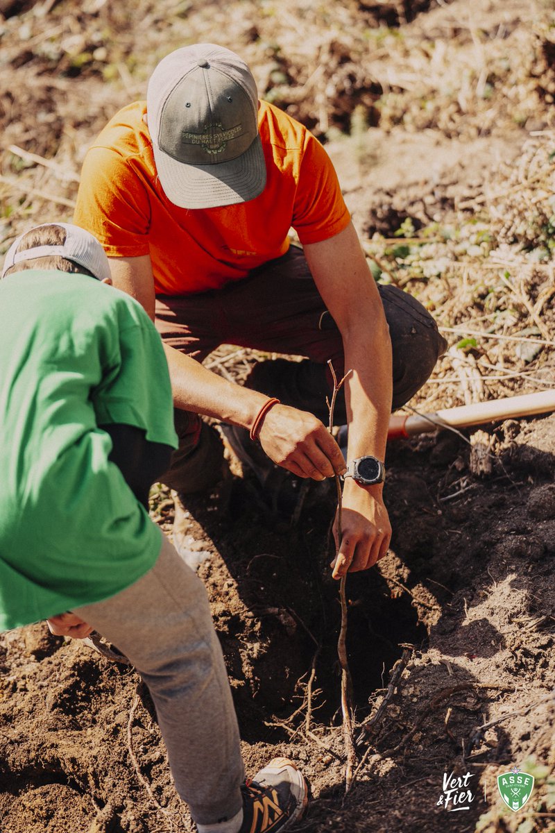 ASSECoeurVert's tweet photo. 🌱 Apprendre, comprendre… et surtout agir !

Avec cette nouvelle plantation, nous sensibilisons les plus jeunes aux enjeux environnementaux tout en les rendant acteurs du changement 🌍

Un moment de partage, d’apprentissage et d’engagement pour construire un avenir plus vert💚 https://t.co/1oH3zPJQU6