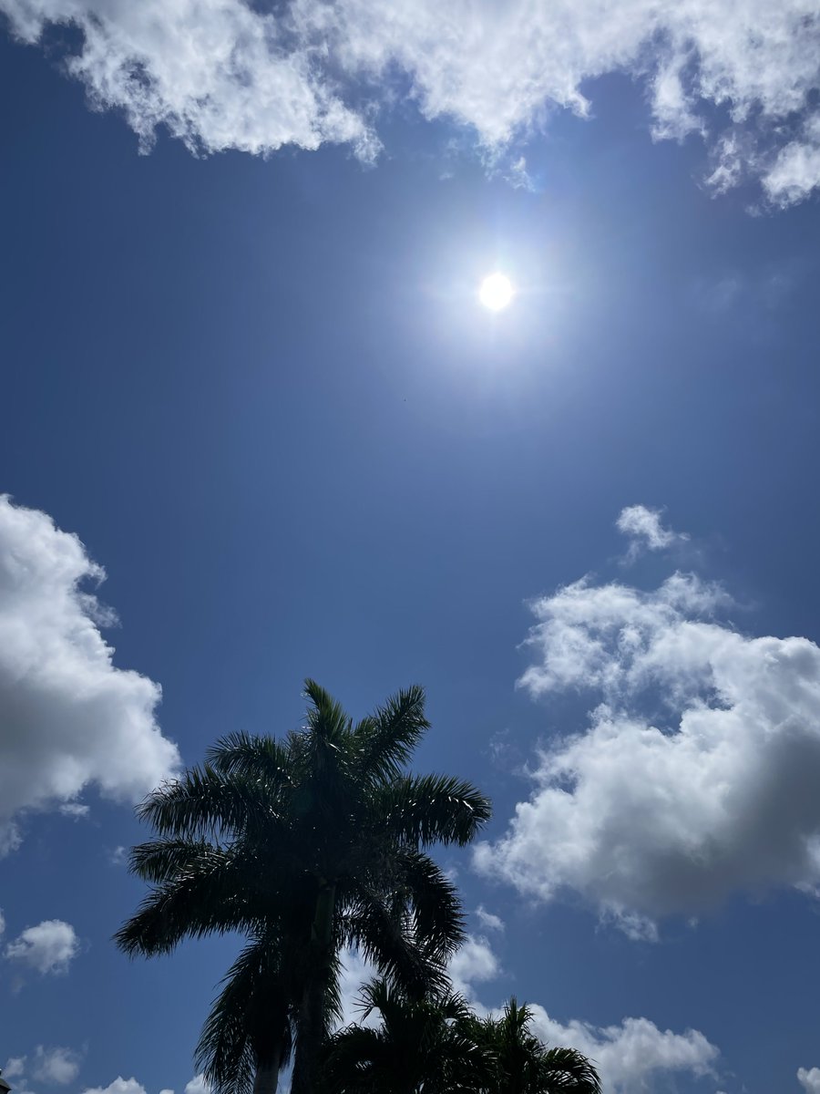 MattilaKarita's tweet image. Happy Monday Y’all ♥️😘

#home 🌴