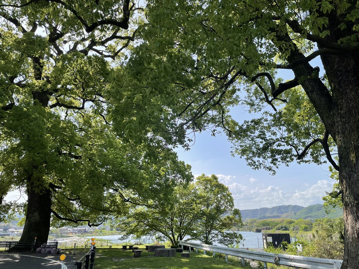 すぎもと tweet media