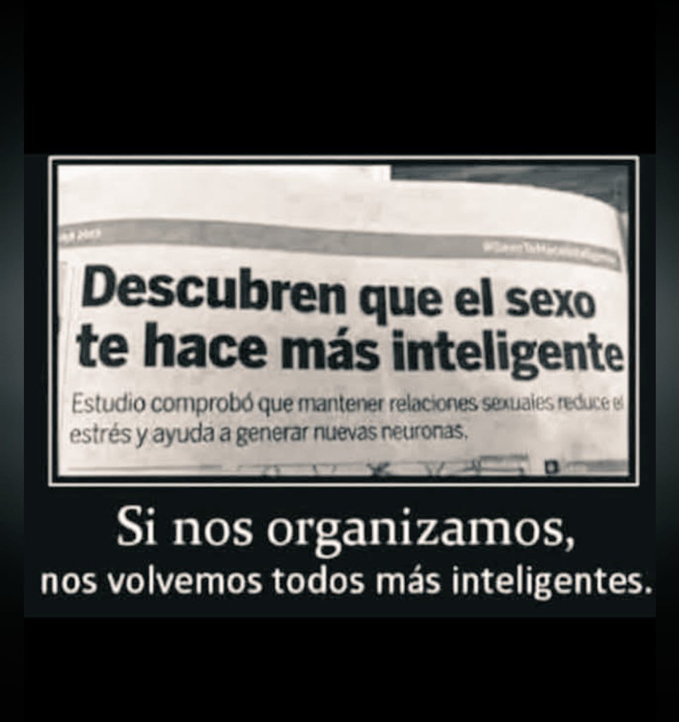 Palomalatina tweet media