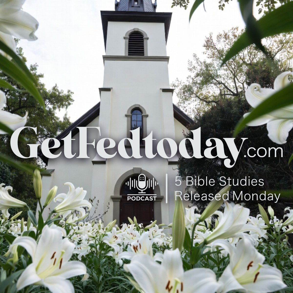 getfedtoday's tweet photo. 🚨Fresh Bible studies just dropped today on the GetFedToday podcast! 🚨

This week's powerful lineup features:

Rob Salvato
Ed Taylor
Skip Heitzig
Dominic Dinger
Ken Adams

Whether you're commuting, exercising, or carving out quiet time, let these voices feed your soul. https://t.co/LjbBU3USh4