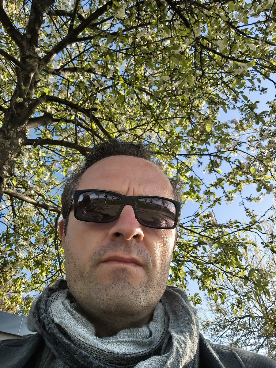 Boyalı Civciv tweet media