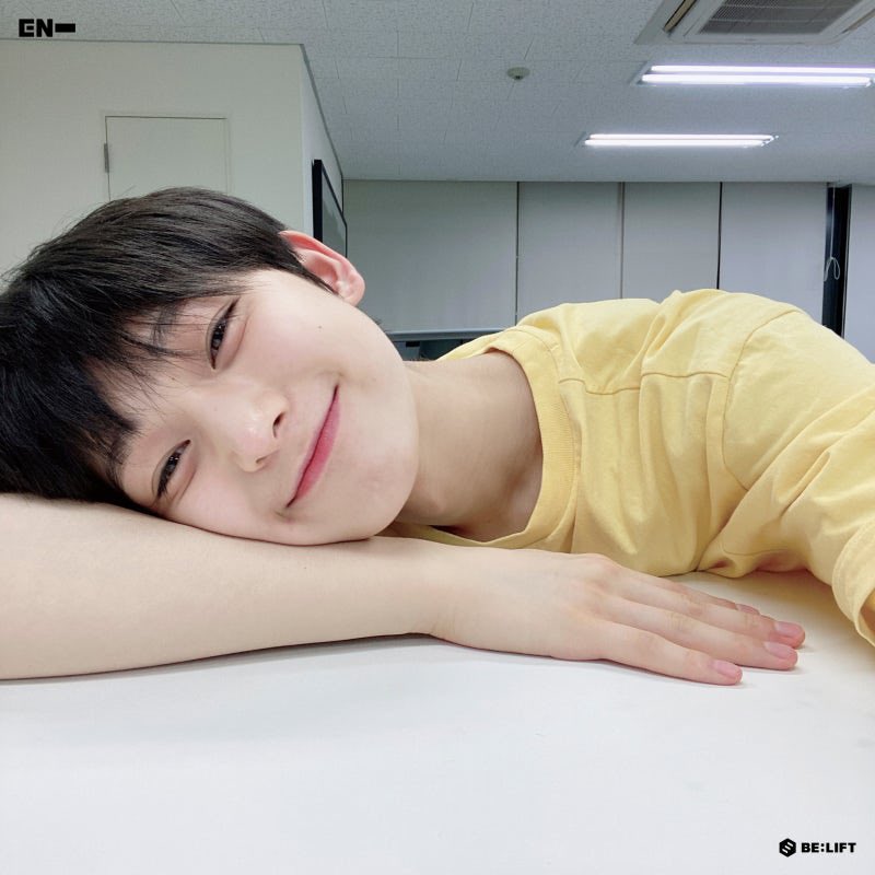 도로시 tweet media