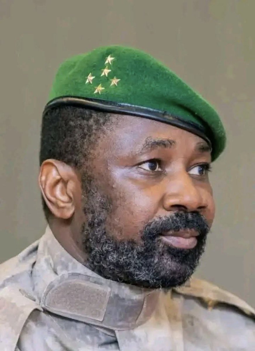 WithoutHistory tweet media