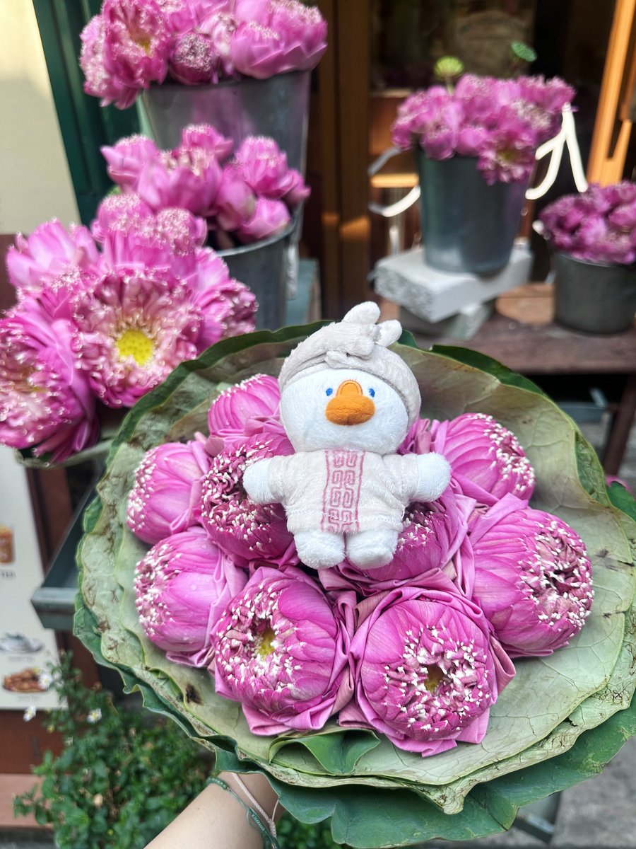 P🐰🎀 tweet media