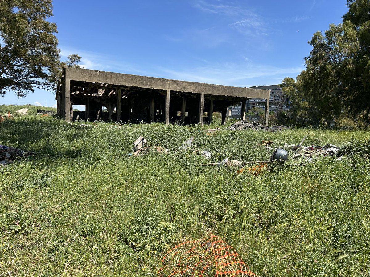 valeriogaripoli's tweet image. In sopralluogo congiunto con la Commissione PNRR e Ambiente Municipio XI per la verifica con i tecnici dello stato avanzamento dei lavori del Parco Ovest e della Casa della Biodiversità a Corviale. #fdi #municipioxi