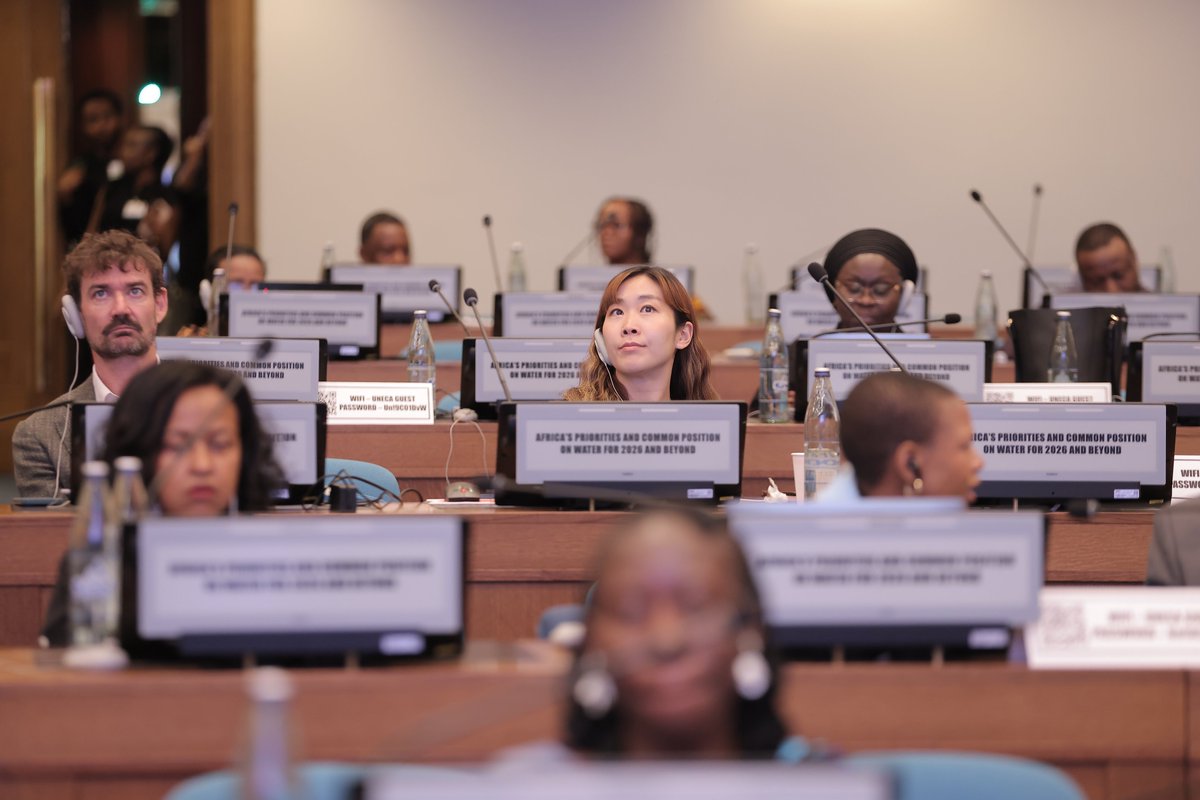 UNDP Africa tweet media