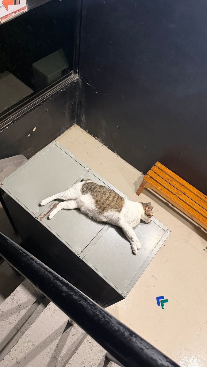 𝗭𝗲𝗲𝗣𝗿𝘂𝗸 𝗢𝗳𝗳𝗶𝗰𝗶𝗮𝗹 𝗙𝗮𝗻𝗰𝗹𝘂𝗯 tweet media