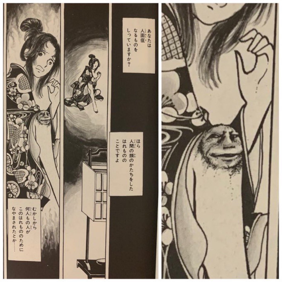 70年代の少女漫画界で忘れてはならないの漫画家のひとりが高階良子先生。少女漫画誌「なかよし」で愛読者の小学女子に向かって、江戸川乱歩や横溝正史を啓蒙した彼女を私はリスペクトし続けるだろう。少女漫画からドヤ街やカタワや人面層や民俗学を知る少女なんてきっともう出てこない。