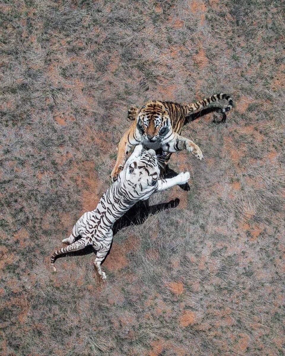 Aesthetics 𝕏 tweet media