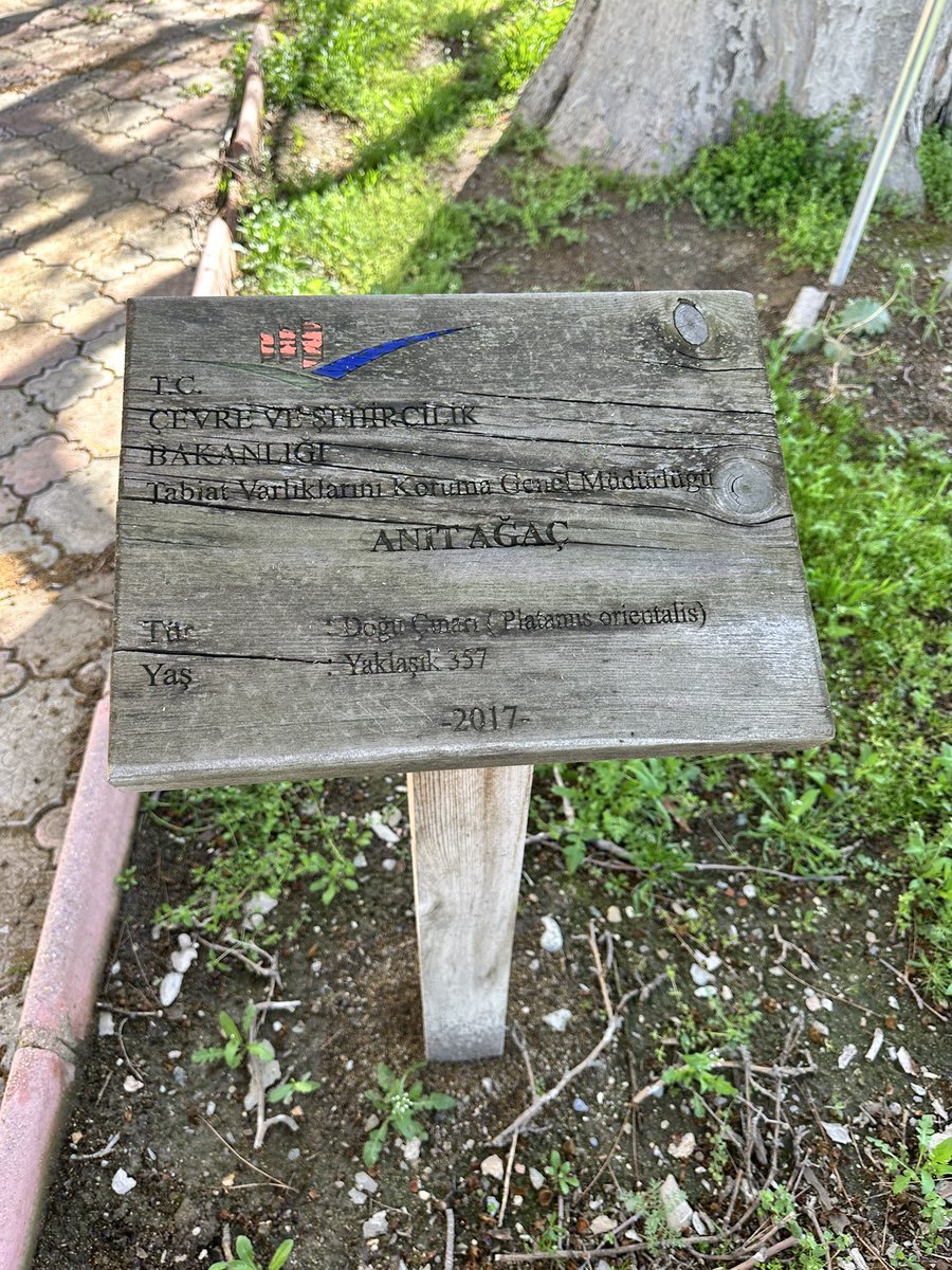 EⓂ️RE tweet media