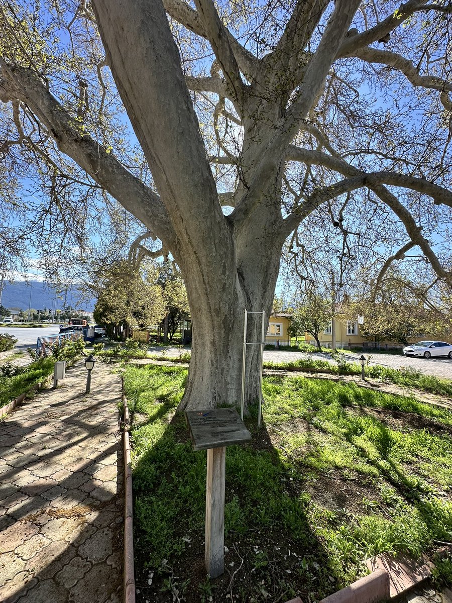 EⓂ️RE tweet media