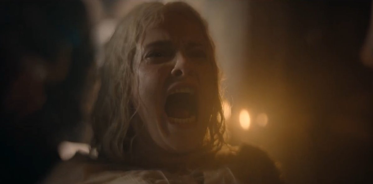 maria 🌱 tweet media