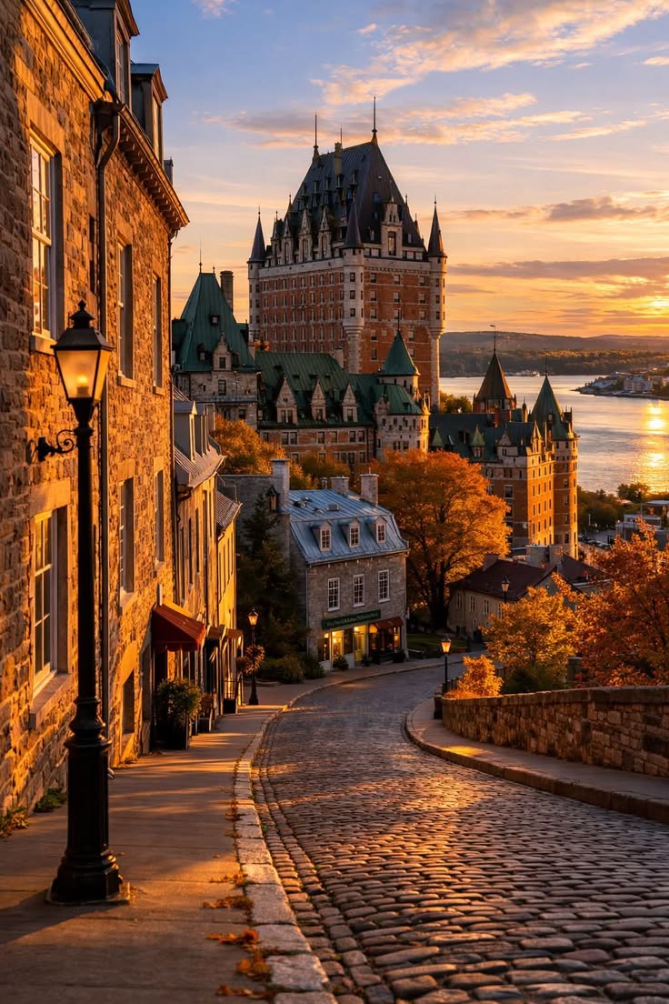 beauti_animals's tweet photo. 📍Old Quebec City, Canada 🇨🇦 https://t.co/pzweGZaieZ