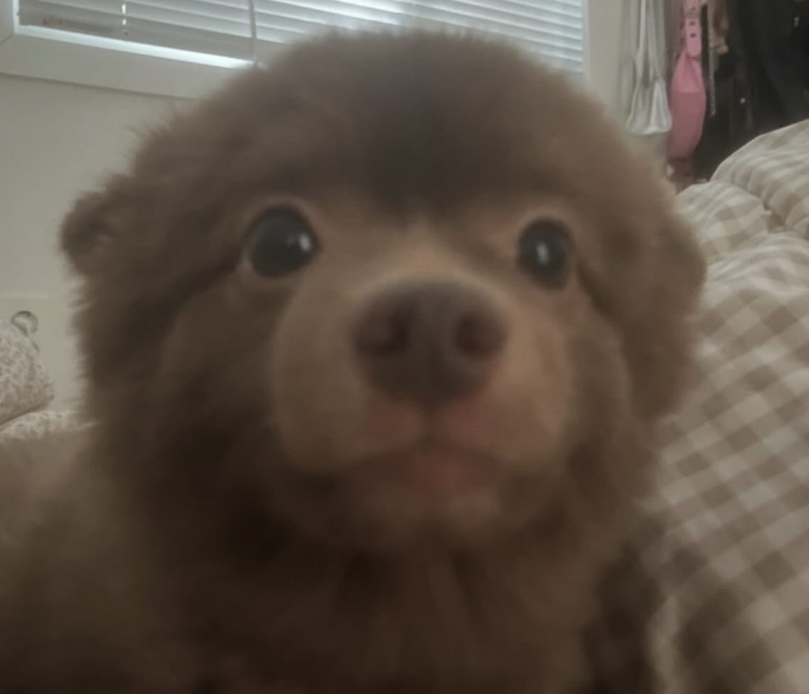 urfavleehaeniee's tweet photo. https://t.co/sMRgVp2u3j