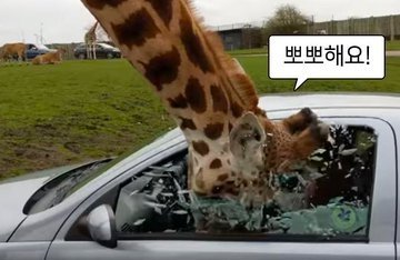 미들시퍼펙충 tweet media