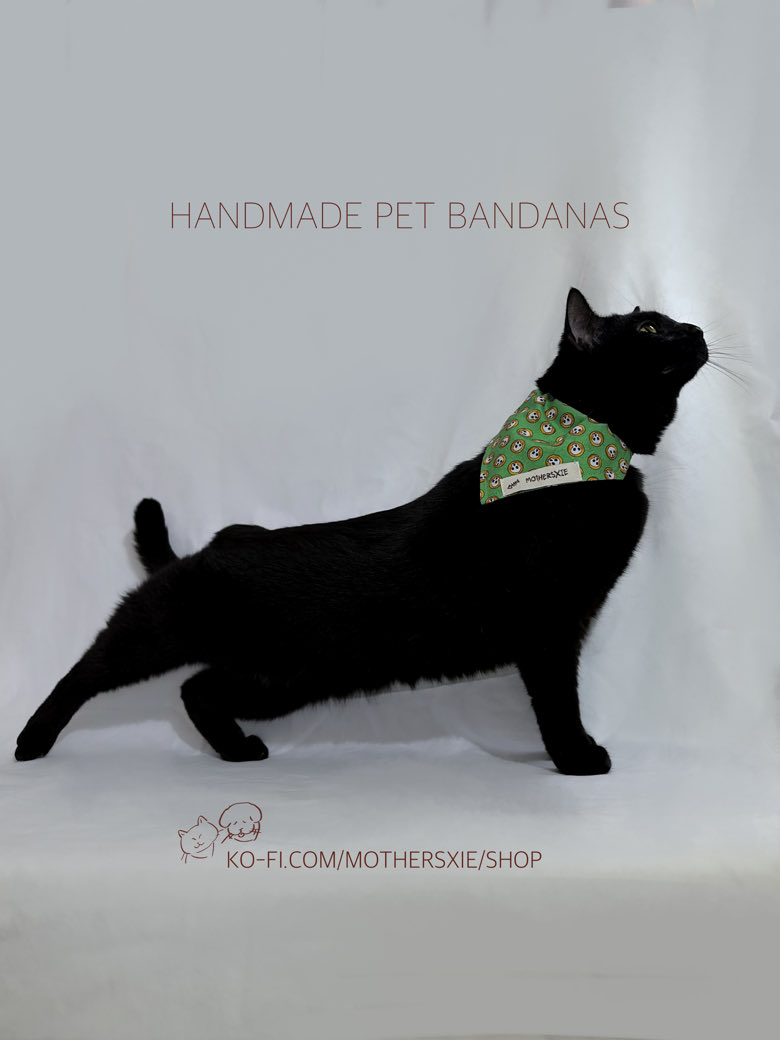 mothersxie's tweet image. Finally finished with my shop update ! 
Link - &amp;gt;&amp;gt; ko-fi.com/mothersxie/shop 
#pets #cats #dogs