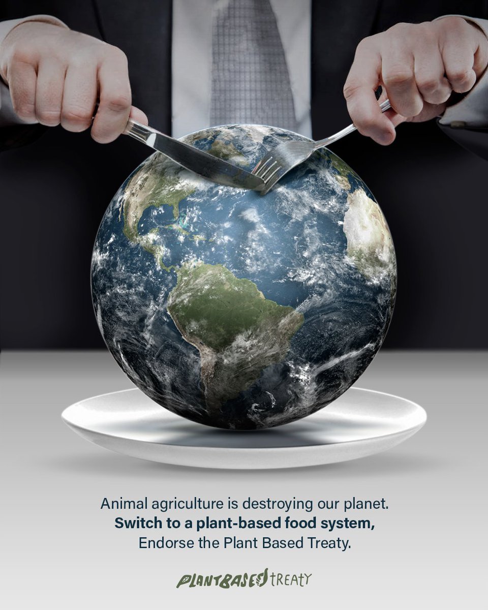 Plant_Treaty's tweet image. Animal agriculture is a huge drain on the Earth's natural resources. Our current food system is inefficient &amp;amp; leads to excessive water use, land use, deforestation, &amp;amp; pollution.
You can help us move towards that with your own choices. Choose a #plantbased diet for the planet 🌱🌎