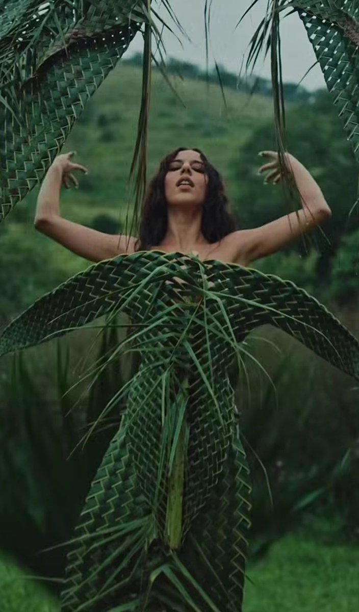 Marina Sena Update tweet media