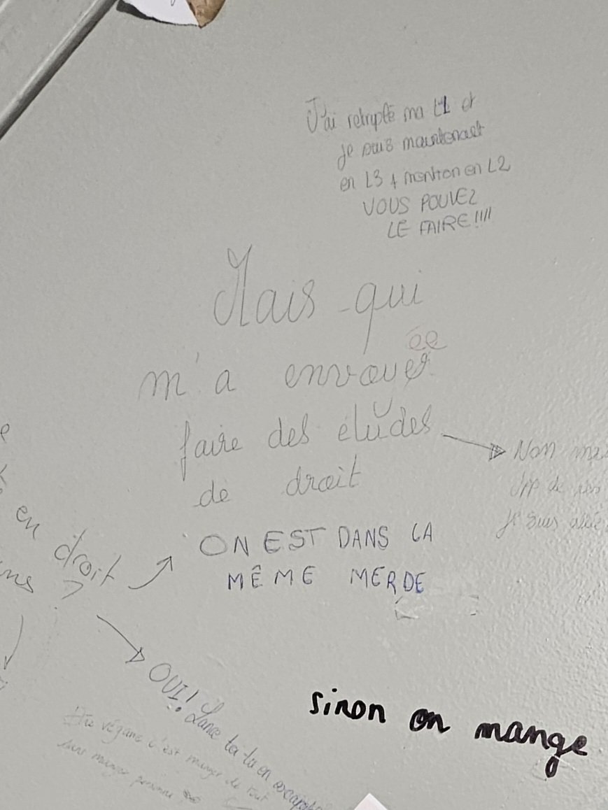 🌸 ميلينا tweet media