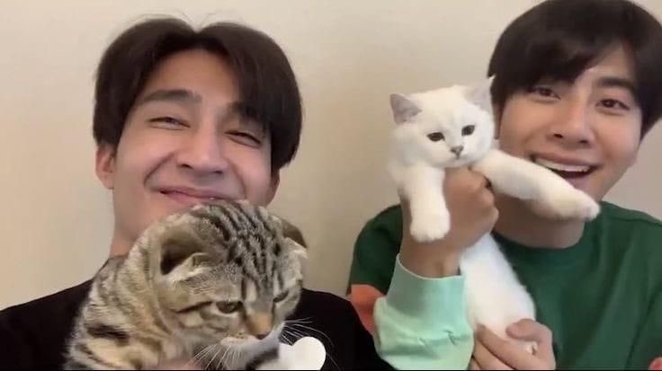 what a real married couple looks like