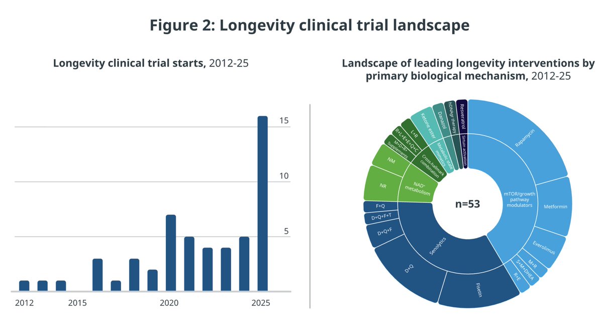 NewYorkPass's tweet photo. Living longer ≠ living better.

2026 research is clear:
It’s not about adding years to life —
it’s about adding life to years.
Delay disease. Extend function. Redefine aging.

#Longevity #Healthspan #Aging #FutureOfHealth

🔗https://t.co/p9mmCYf5x4 https://t.co/hhIKjBlWTX