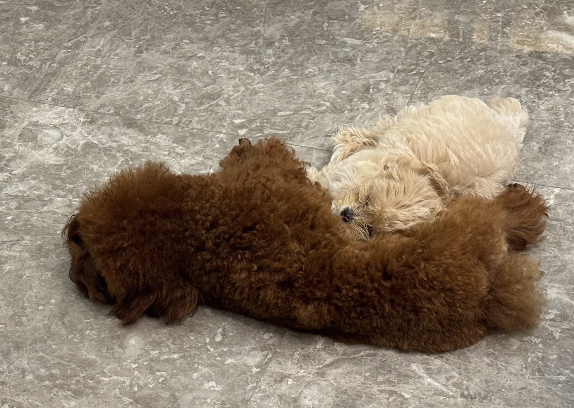 nao! 🎸( 𝐉𝐢𝐚𝐧𝐠𝐥𝐢 𝐯𝐞𝐫𝐬𝐢𝐨𝐧 ) tweet media