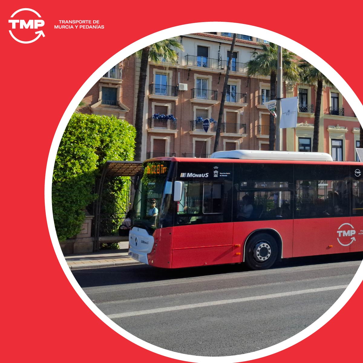 Transporte de Murcia y Pedanías tweet media