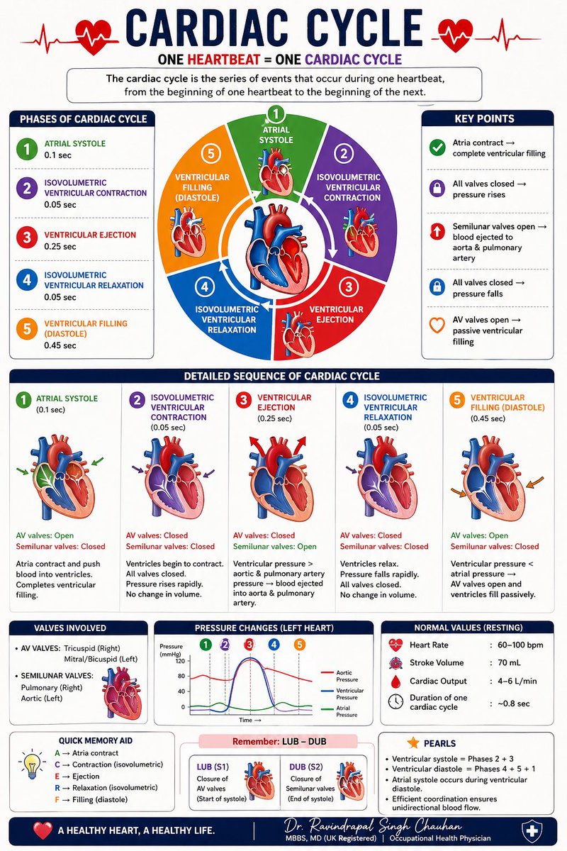 rpsingh1894's tweet photo. #CardiacCycle #Cardiology #Physiology #MedTwitter #MedicalEducation
#ClinicalConcepts #HeartFunction #PLAB #NEETPG #USMLE
#MedEd #DoctorLife #ClinicalPearls #ExamPrep #CardioBasics https://t.co/toS2DLlFxn