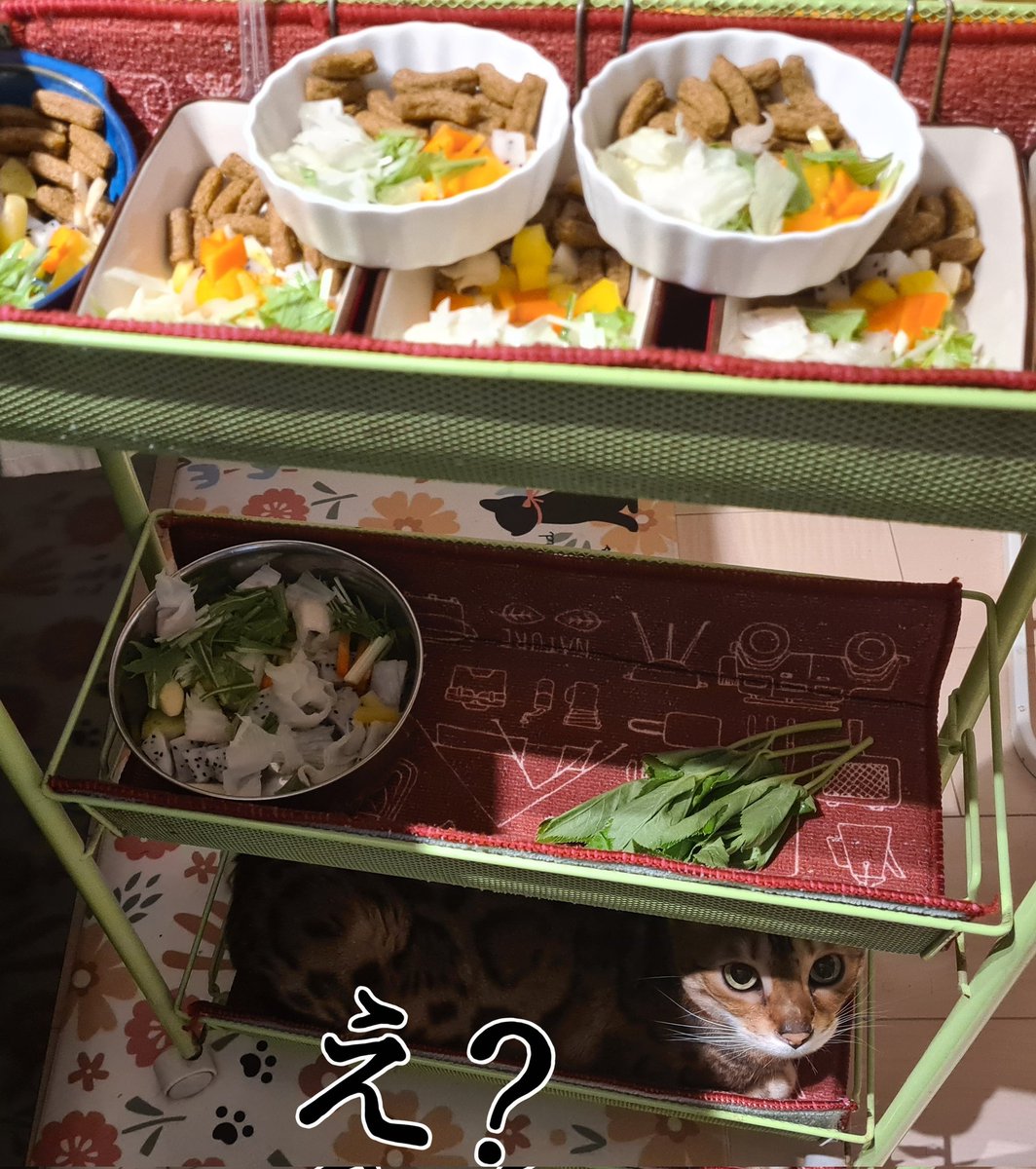えりんぎ tweet media