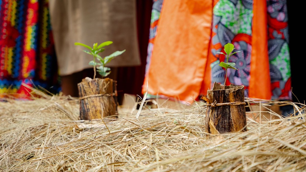 Sustainable Growers tweet media