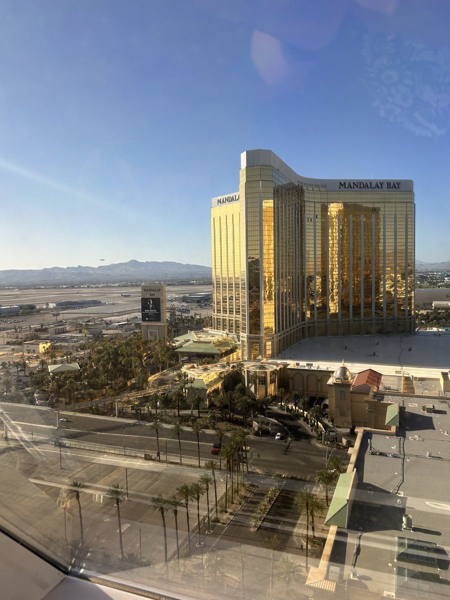 MonsterGirl92 tweet media