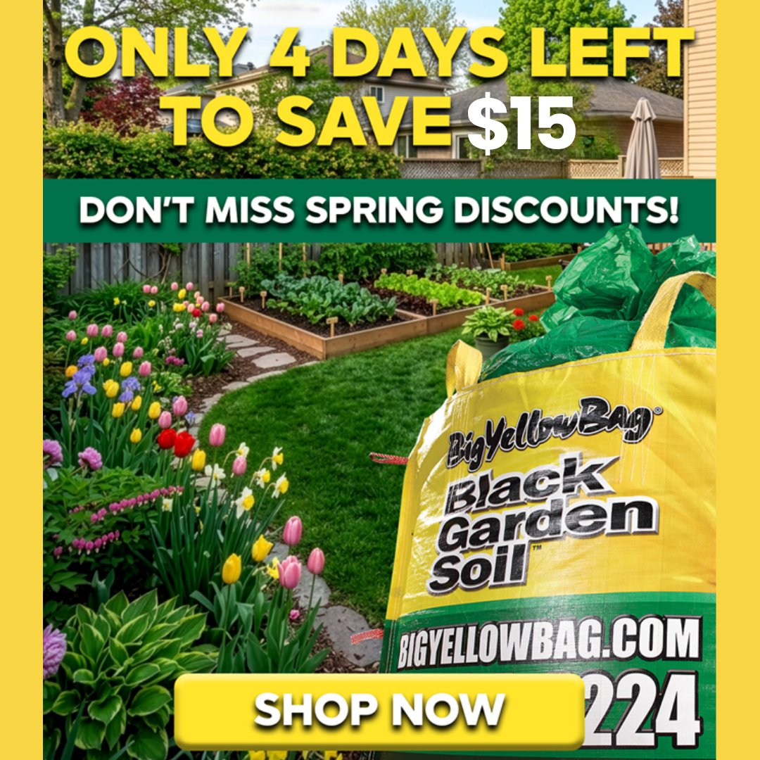 ZanderSod's tweet photo. ⏰ Our Spring Discounts Are Expiring!

Order in the next 4 days and save $15 on your #BigYellowBag of Black Garden Soil, perfect for topping up garden beds, filling new planters, or giving your lawn a needed nutrient boost! 

Visit https://t.co/92ouC2Nj7V to order today! https://t.co/rSnTAbwTyc