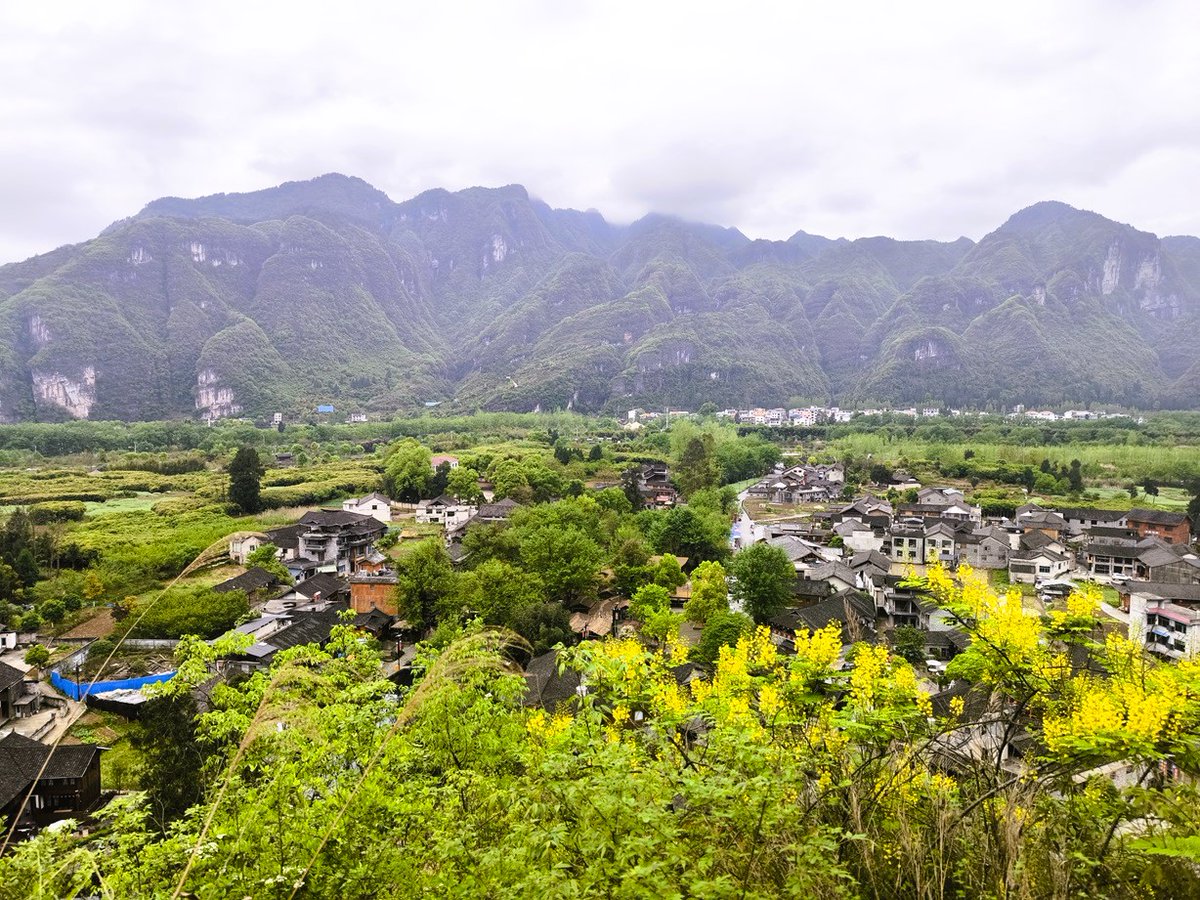 PantipTravel's tweet image. Yunshe หมู่บ้านน้ำใสสุดชิล แห่งมณฑลกุ้ยโจว กับรีสอร์ตชิคๆ ก่อนขึ้นพิชิตเขาฟานจิ้ง (Fanjingshan) มรดกโลก 💦🌳 

📌  pantip.com/s/ONuyH

#บลูแพลนเที่ยว #บลูแพลนเน็ต #Blueplanet #Yunshe #กุ้ยหยาง #กุ้ยโจว #เที่ยวจีน #เที่ยวต่างประเทศ