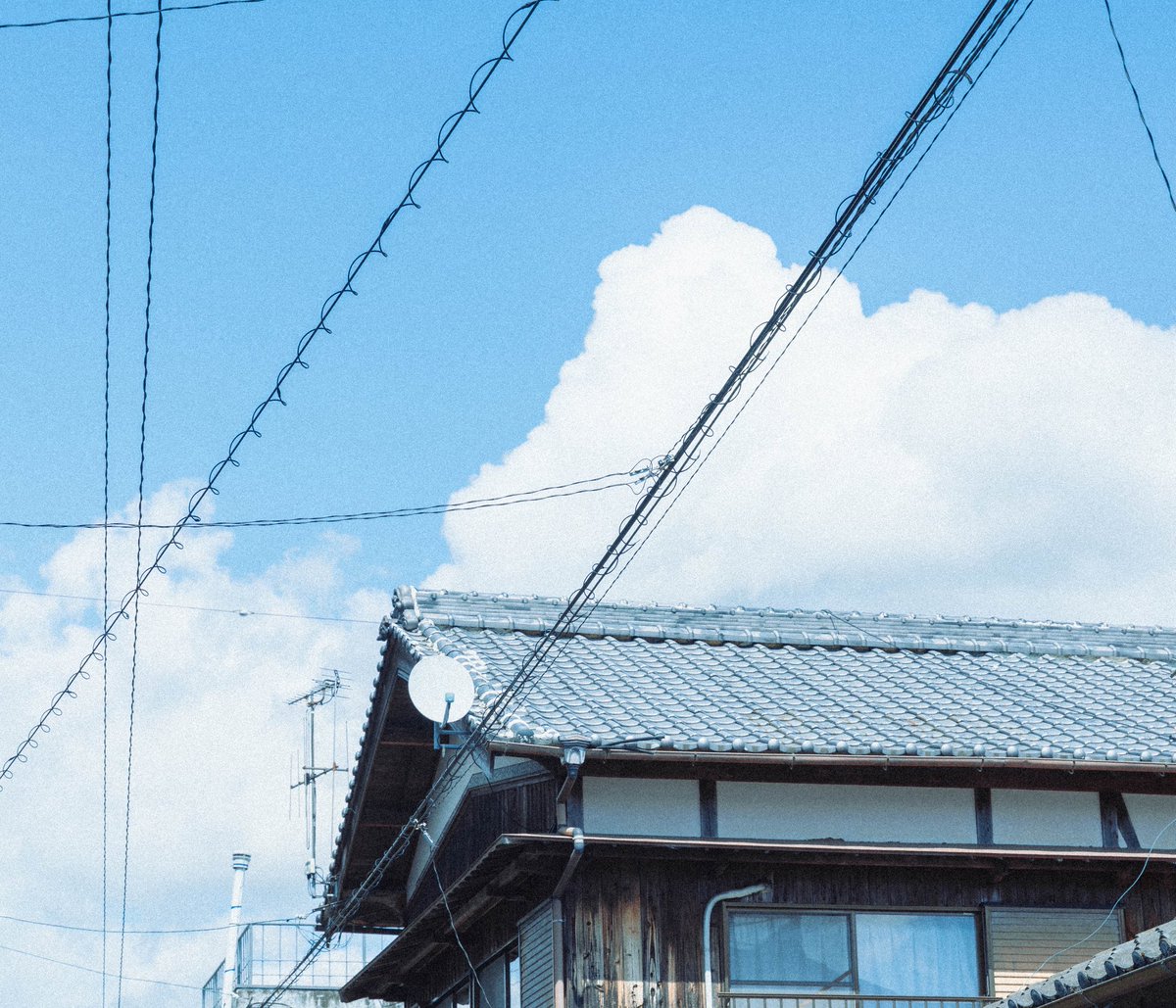 ニノミヤ tweet media