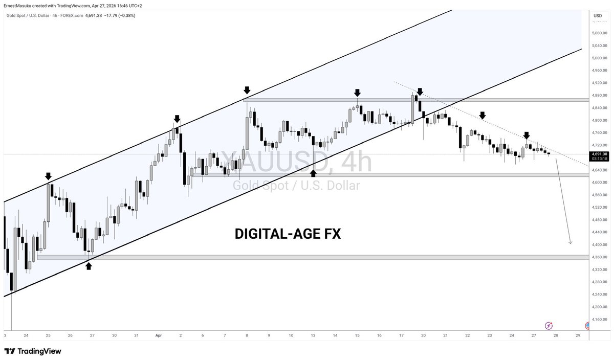Digital-Age FX tweet media